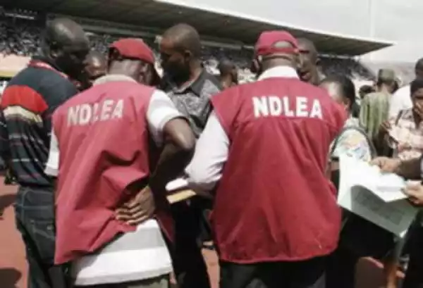 NDLEA official drowns while chasing drug baron
